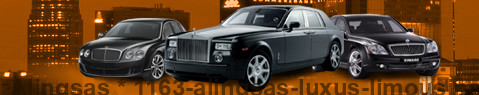 Luxury limousine Alingsas