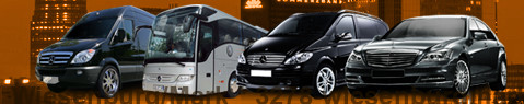 Transfer Wiesenburg/Mark