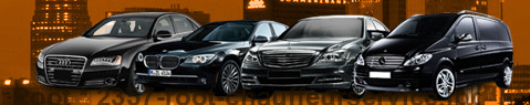 Chauffeur Service Root