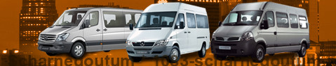 Minibus Scharnegoutum | location